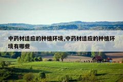<b>ҩӦֲ,ҩӦֲЩ</b>