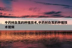 <b>��ҩ�İ�ܸ����ֲ����,��ҩ�İ�ܸ����ֲ������Ƶ</b>