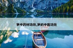 <b>����ҩ�Ĺ�Ч,�����ҽ��Ч</b>