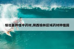 <b>��������ֲ��ҩ��,������������ҩ����ֲ԰</b>