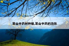 <b>��ɽ��ҩ����ֲ,��ɽ��ҩ�Ĺ�Ч</b>