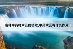 <b>������ҩ�Ĵ��ƵĹ�Ч,��ҩ������ʲô����</b>