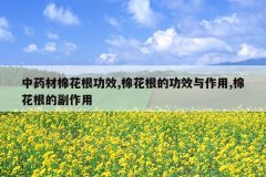 <b>��ҩ���޻�����Ч,�޻����Ĺ�Ч������,�޻����ĸ�����</b>