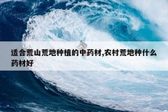 <b>�ʺϻ�ɽ�ĵ���ֲ����ҩ��,ũ��ĵ���ʲôҩ�ĺ�</b>