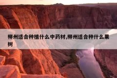 <b>�����ʺ���ֲʲô��ҩ��,�����ʺ���ʲô����</b>