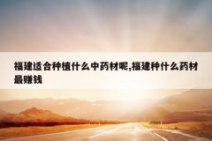 <b>�����ʺ���ֲʲô��ҩ����,������ʲôҩ����׬Ǯ</b>