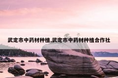 <b>�䶨����ҩ����ֲ,�䶨����ҩ����ֲ������</b>