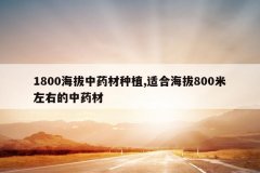 <b>1800������ҩ����ֲ,�ʺϺ���800�����ҵ���ҩ��</b>