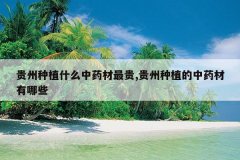 <b>������ֲʲô��ҩ�����,������ֲ����ҩ������Щ</b>