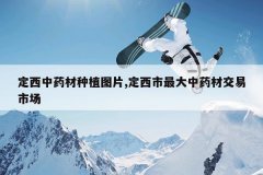 <b>������ҩ����ֲͼƬ,�����������ҩ�Ľ����г�</b>