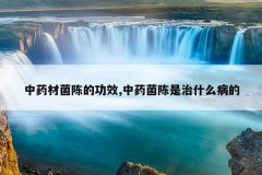 <b>��ҩ�ľ��µĹ�Ч,��ҩ��������ʲô����</b>