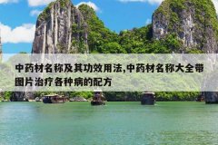 <b>��ҩ�����Ƽ��书Ч�÷�,��ҩ�����ƴ�ȫ��ͼƬ���Ƹ��ֲ����䷽</b>