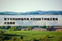 <b>������ҩ����ֲ����,��ҩ��������ֲ��Ҫģʽ����Щ</b>