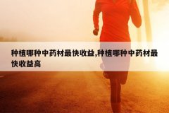 <b>��ֲ������ҩ���������,��ֲ������ҩ����������</b>