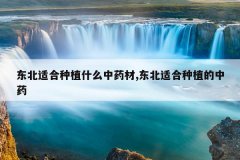 <b>�����ʺ���ֲʲô��ҩ��,�����ʺ���ֲ����ҩ</b>