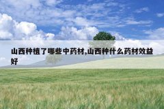 <b>ɽ����ֲ����Щ��ҩ��,ɽ����ʲôҩ��Ч���</b>