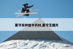 <b>��������ֲ��ҩ��,����֥ͼƬ</b>