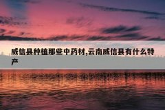 <b>ֲЩҩ,ʲôز</b>