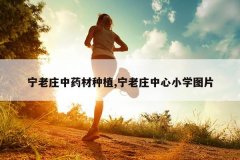 <b>����ׯ��ҩ����ֲ,����ׯ����СѧͼƬ</b>