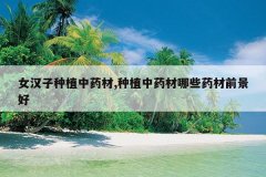<b>Ů������ֲ��ҩ��,��ֲ��ҩ����Щҩ��ǰ����</b>