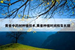 <b>�ƽ���ҩ����ֲ����,�ƽ���ֲʱ���������</b>