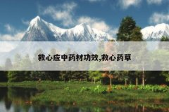 <b>����Ӧ��ҩ�Ĺ�Ч,����ҩ��</b>