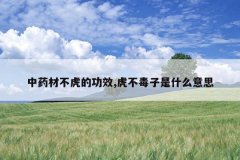 <b>��ҩ�Ĳ����Ĺ�Ч,����������ʲô��˼</b>