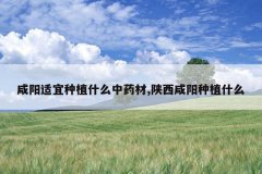 <b>����������ֲʲô��ҩ��,����������ֲʲô</b>