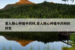 <b>���˾�����ֲ��ҩ��,���˾�����ֲ��ҩ�ĵĺô�</b>