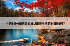 <b>��ҩ����ֲ�½�ũҵ,�½���ֲҩ��׬Ǯ��?</b>