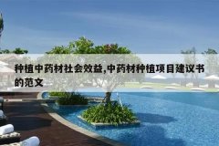 <b>��ֲ��ҩ�����Ч��,��ҩ����ֲ��Ŀ������ķ���</b>