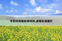 <b>ҩĻβѹЧ,βͼƬ</b>