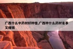 <b>����ʲô��ҩ�ĺ���ֲ,������ʲôҩ��ʡ����׬Ǯ</b>