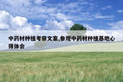 <b>��ҩ����ֲ�����İ�,�ι���ҩ����ֲ�����ĵ����</b>