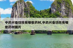 <b>��ҩ�˷ܹ�Ч����Щҩ��,��ҩ�˷ܹ�Ч����Щҩ��ͼƬ</b>