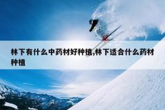 <b>������ʲô��ҩ�ĺ���ֲ,�����ʺ�ʲôҩ����ֲ</b>