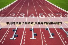 <b>��ҩ�ķ���ӵĹ�Ч,��˲ݵ�ҩ���빦Ч</b>