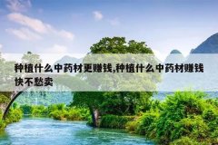 <b>��ֲʲô��ҩ�ĸ�׬Ǯ,��ֲʲô��ҩ��׬Ǯ�첻����</b>