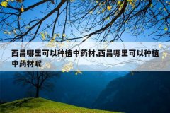 <b>�������������ֲ��ҩ��,�������������ֲ��ҩ����</b>