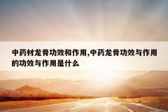 <b>��ҩ�����ǹ�Ч������,��ҩ���ǹ�Ч�����õĹ�Ч��������ʲô</b>