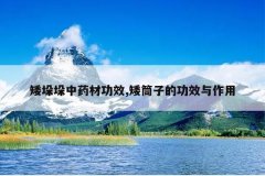 <b>ҩĹЧ,ͲӵĹЧ</b>