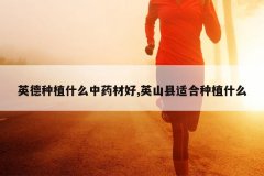 <b>Ӣ����ֲʲô��ҩ�ĺ�,Ӣɽ���ʺ���ֲʲô</b>