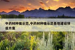 <b>��ҩ����ֲʾ��,��ҩ����ֲʾ�����ؽ�����Ŀ����</b>