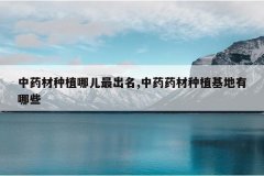 <b>��ҩ����ֲ�Ķ������,��ҩҩ����ֲ��������Щ</b>