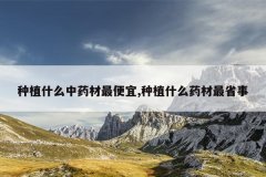 <b>��ֲʲô��ҩ�������,��ֲʲôҩ����ʡ��</b>