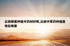 <b>����������ֲ��ҩ�ĺ���,�����в�ҩ��ֲ����������</b>