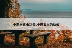 <b>ҩ湦Ч,ҩĹЧ</b>