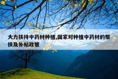 <b>����������ҩ����ֲ,���Ҷ���ֲ��ҩ�ĵİ������������</b>