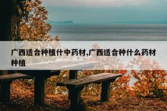 <b>�����ʺ���ֲʲ��ҩ��,�����ʺ���ʲôҩ����ֲ</b>