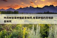 <b>��ҩ�ĸʲ���ֲǰ�����,�ʲ���ֲ���г�ǰ�����</b>